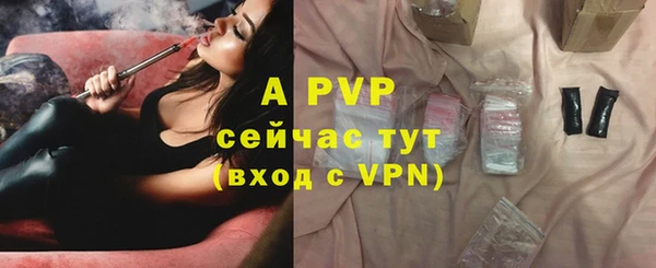 соль курить ск Каменка