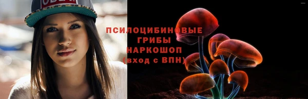 соль курить ск Каменка