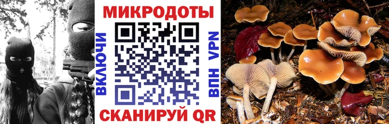 Галлюциногенные грибы Cubensis  Купить  Темников 