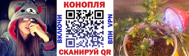 Купить закладки  Темников  Бошки Шишки THC 21% 